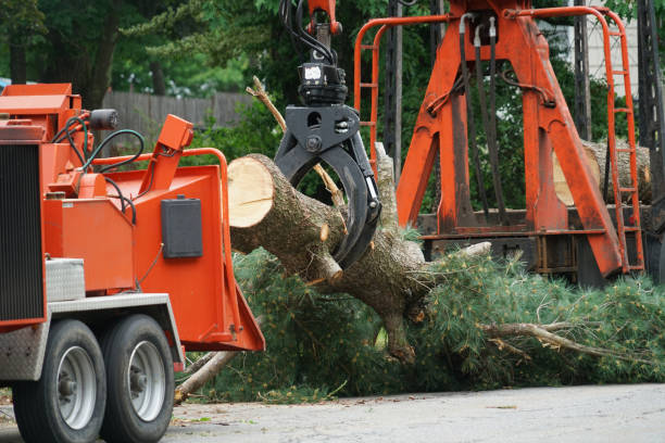 Best Lawn Mowing  in Cedar Park, TX